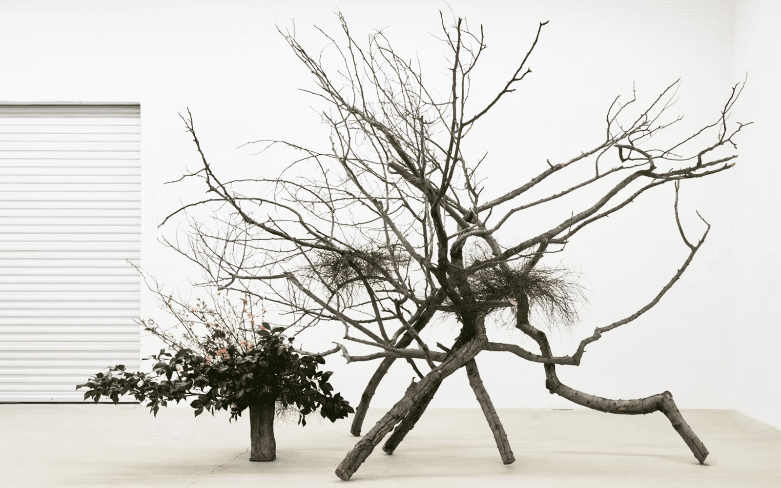VESSELS - Image 6